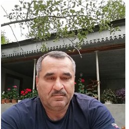 , 56, 