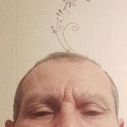 ���� ������, 49 ���, ������