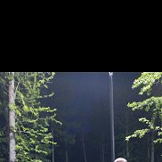 ������� �������, 38 ���, ������