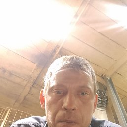 , 41, 