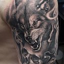 ���� ������, ������������, 46 ��� - ��������� 7 ������ 2024 � ������ ���� ����������