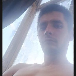 ���������, ���������, 31 ���