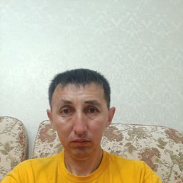 , 42, 