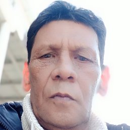 �����, ��������, 58 ���