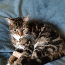 ���� ������, ���� - ��������� 15 ������ 2025 � ������ ������ ��������