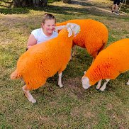 ����, 29 ���, ������������