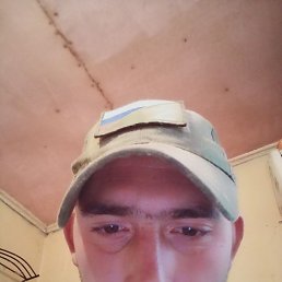 �����������, ������, 37 ���