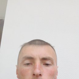 , 41 , 