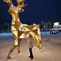 ���� �������, ���������� - ��������� 29 ������ 2026