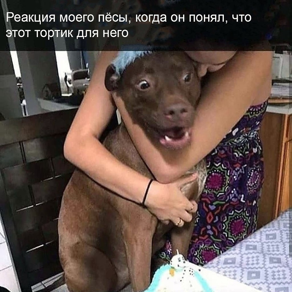ϸ     !