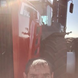 , 38, 