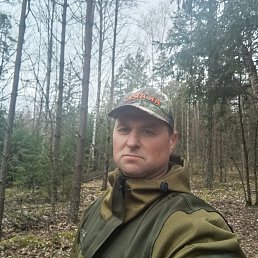 , 40, 