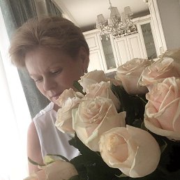 �������, ������, 66 ���