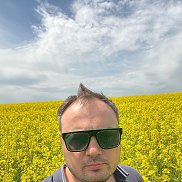 , 33 , 