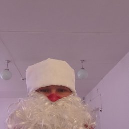 ���� ������, �������, 37 ��� - ��������� 7 ������ 2026