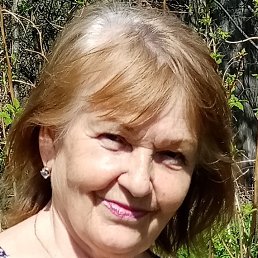 , 67, 