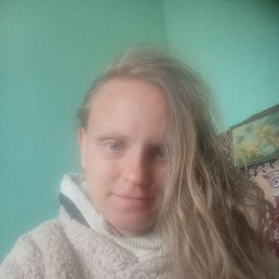 ���� Ipa, �����, 82 ���� - ��������� 16 ��� 2026