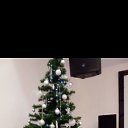 ���� ������, ���������, 48 ��� - ��������� 13 ������ 2026 � ������ ���� ����������