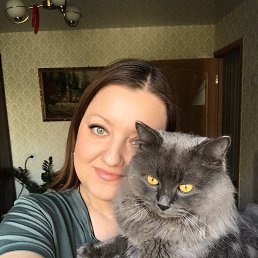 , 37, 