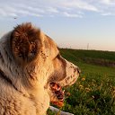 ���� Nik_vit, �������, 59 ��� - ��������� 8 ������� 2024 � ������ ���� ����������