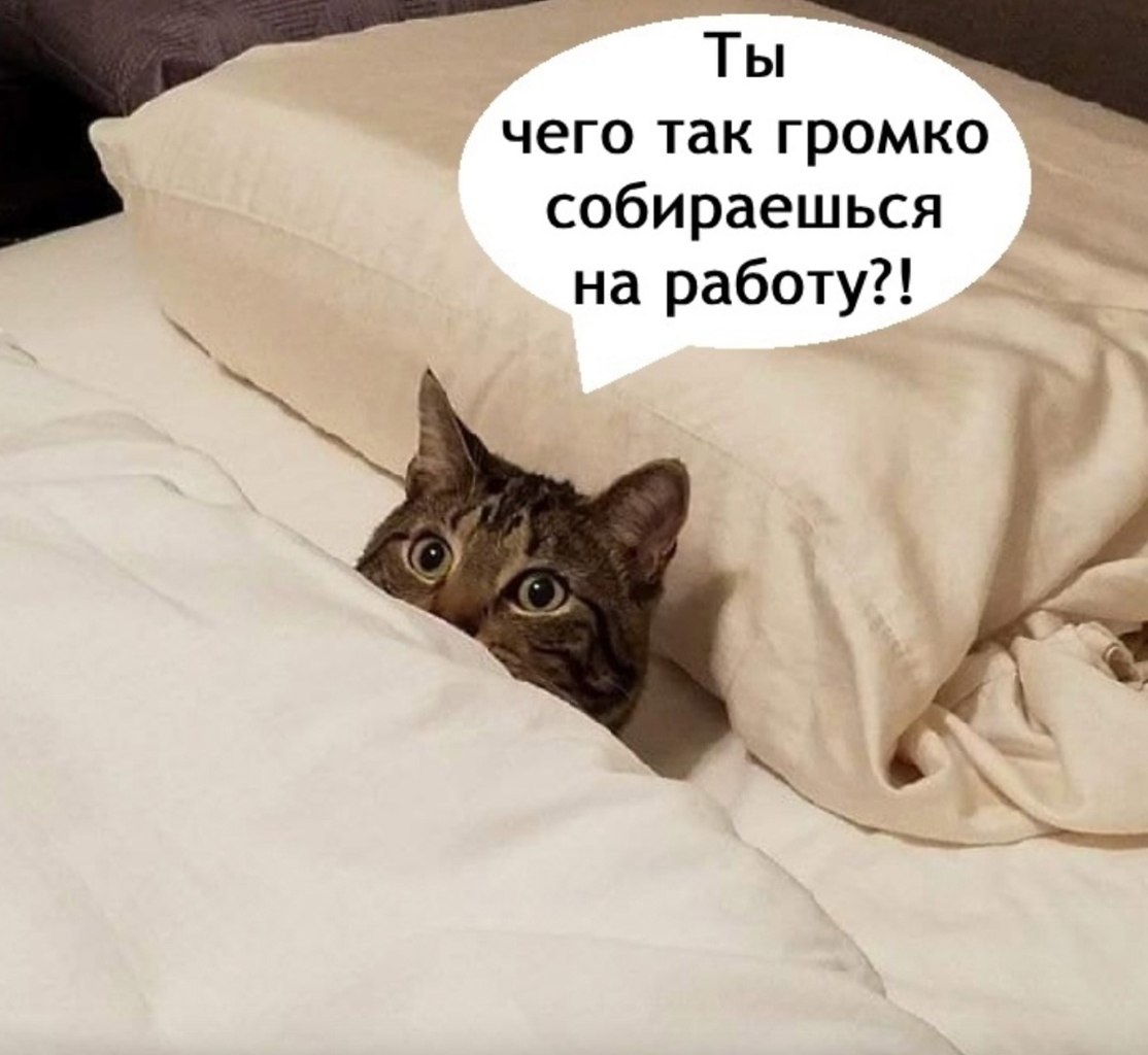   - 18  2025  23:54 - 2