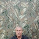 ���� ������, ������, 67 ��� - ��������� 13 ����� 2024