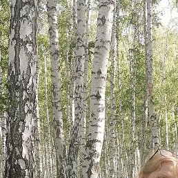 ������, ������������, 61 ���