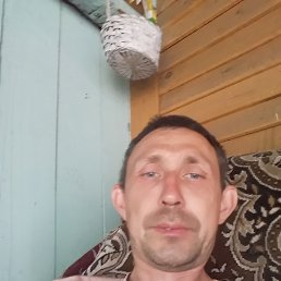 ���� ����, ������, 41 ��� - ��������� 26 ���� 2026