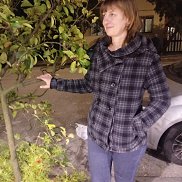 , 35 , 