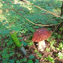 ���� ����, ������, 53 ���� - ��������� 12 ������� 2025