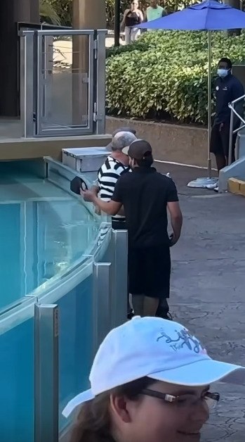 ���������� ����� - ��������� ������, ��, �� � ��� ����������� �� ���!