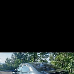 ���, ������������, 36 ���