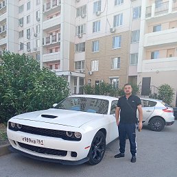 , 41, --