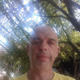 Svetlozar, ����, 55 ���