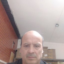 , 54, 