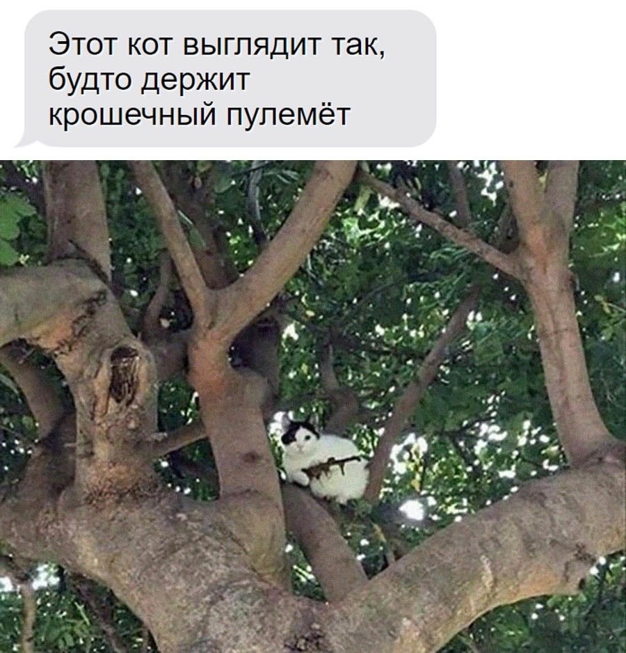    - 14  2024  12:16