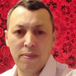 �����, ����, 52 ����