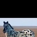 ���� �����, �������������, 50 ��� - ��������� 1 ������� 2024 � ������ ���� ����������