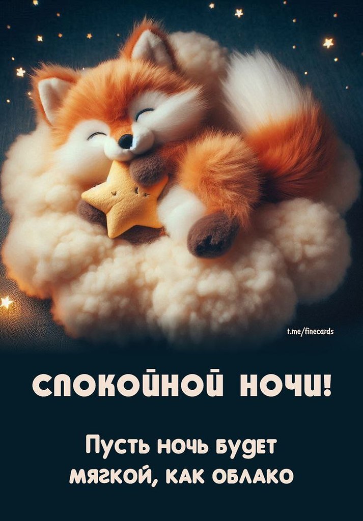   ,    . - 7  2025  21:51 - 3