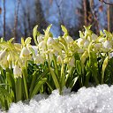 ���� ����, ������� - ��������� 20 ����� 2024 � ������ ������ ��������