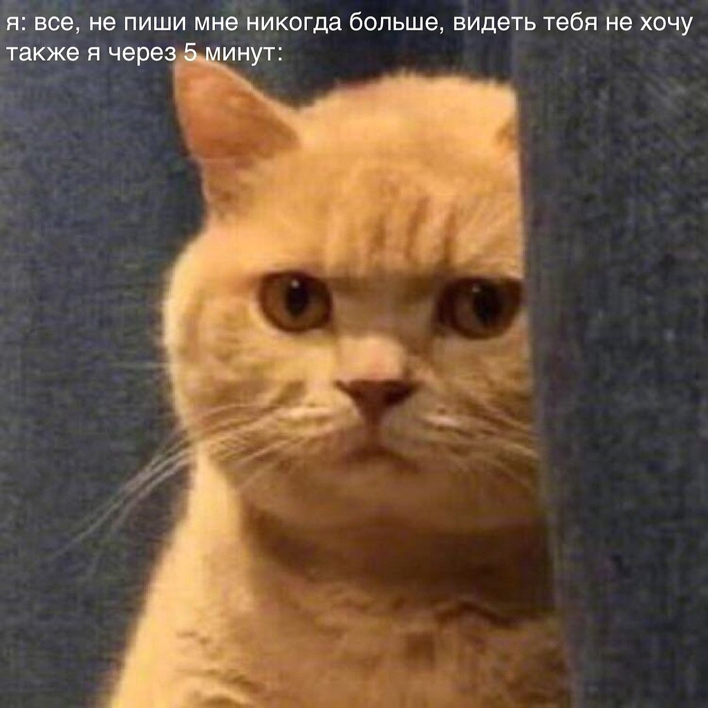    - 20  2024  22:39