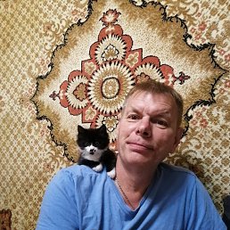 �����, 58 ���, �����������