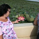 ���� �����, ��������� - ��������� 10 ������ 2025 � ������ ���� ����������