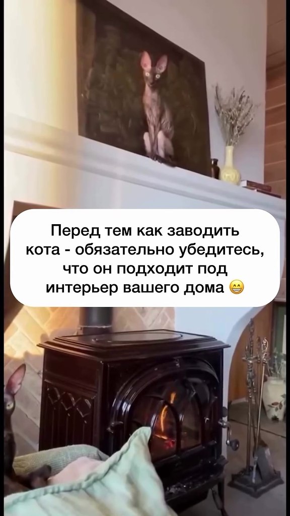      -  ,        - 2