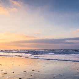 ���� ���������, ���������, 39 ��� - ��������� 16 ������� 2026