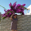 ���� ������@, ��������� - ��������� 13 ������� 2024 � ������ ������ ��������