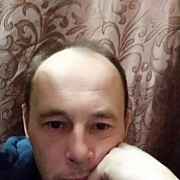 , 44, 
