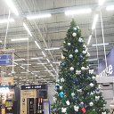 � �����������... �� ������� ���� ����������