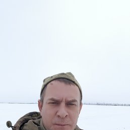 ������, 37 ���, ������