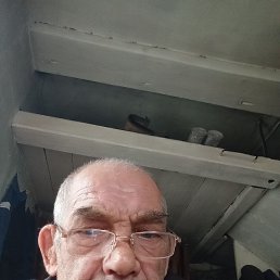 , 54 , 